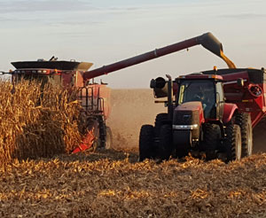 Photo showing a fall harvest in Iowa